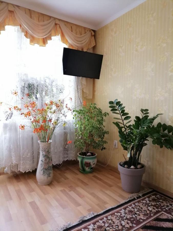 Apartment в центрі міста
