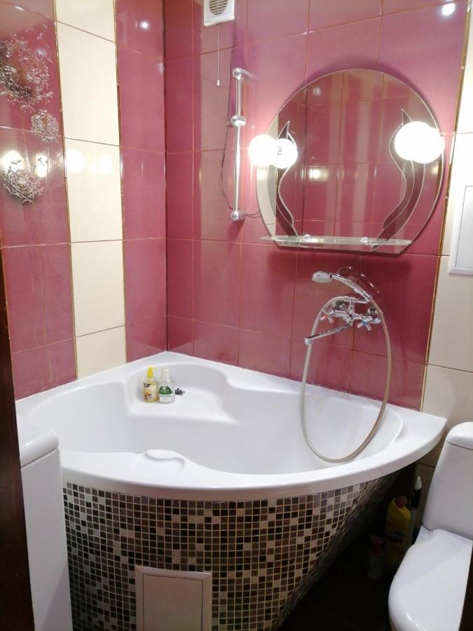 Apartment в центрі міста Kamianets-Podilskyi