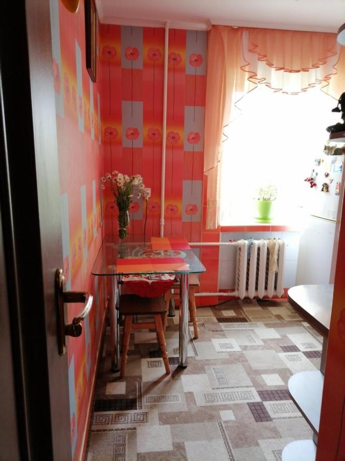 в центрі міста Apartment Kamianets-Podilskyi