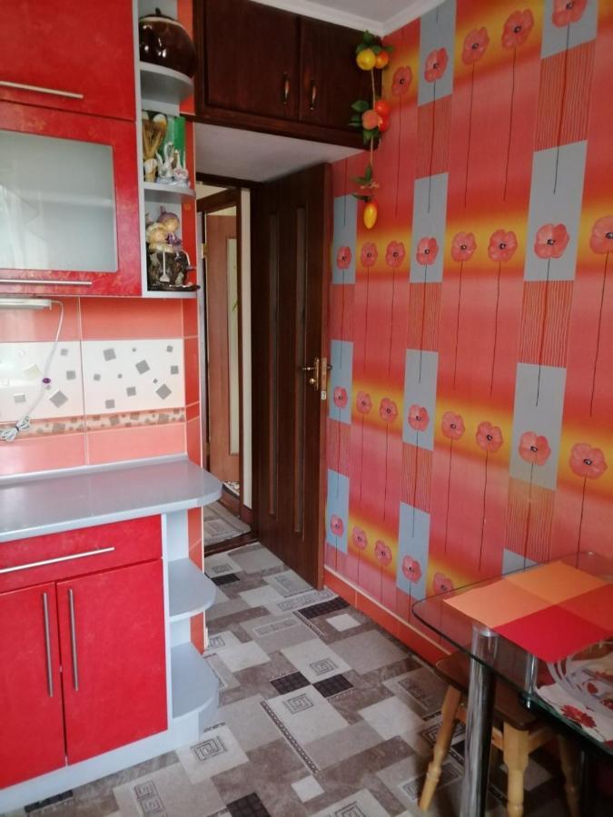 Apartment в центрі міста Kamianets-Podilskyi