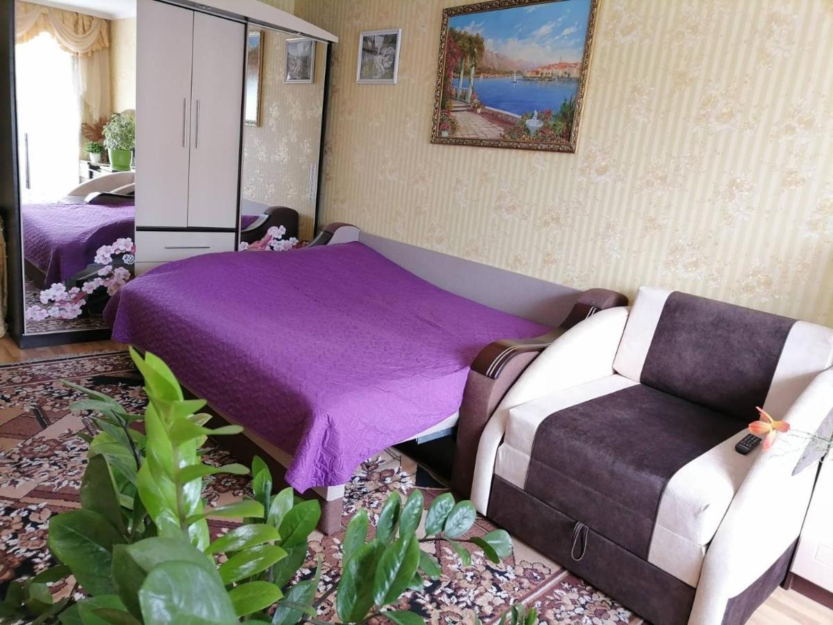 Apartment в центрі міста Kamianets-Podilskyi